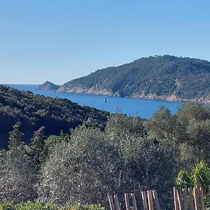 Safari Les Lauriers Sur Île du Levant